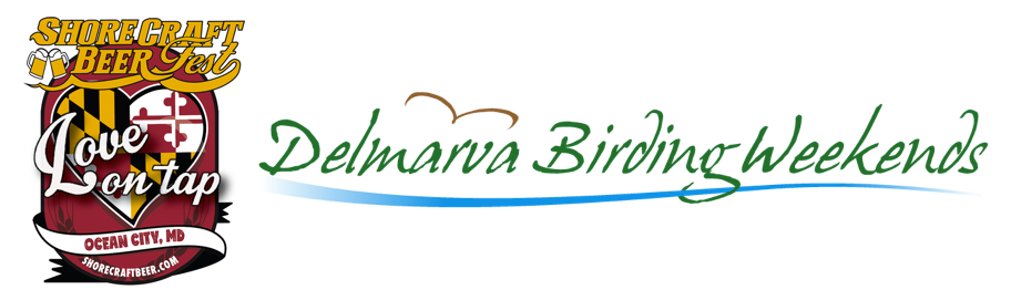 Feb 29 Mar 1 Shore Craft Beer Fest Birding Trips Delmarva Birding Weekends